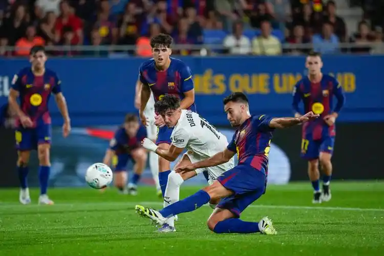 雨燕直播体育免费直播